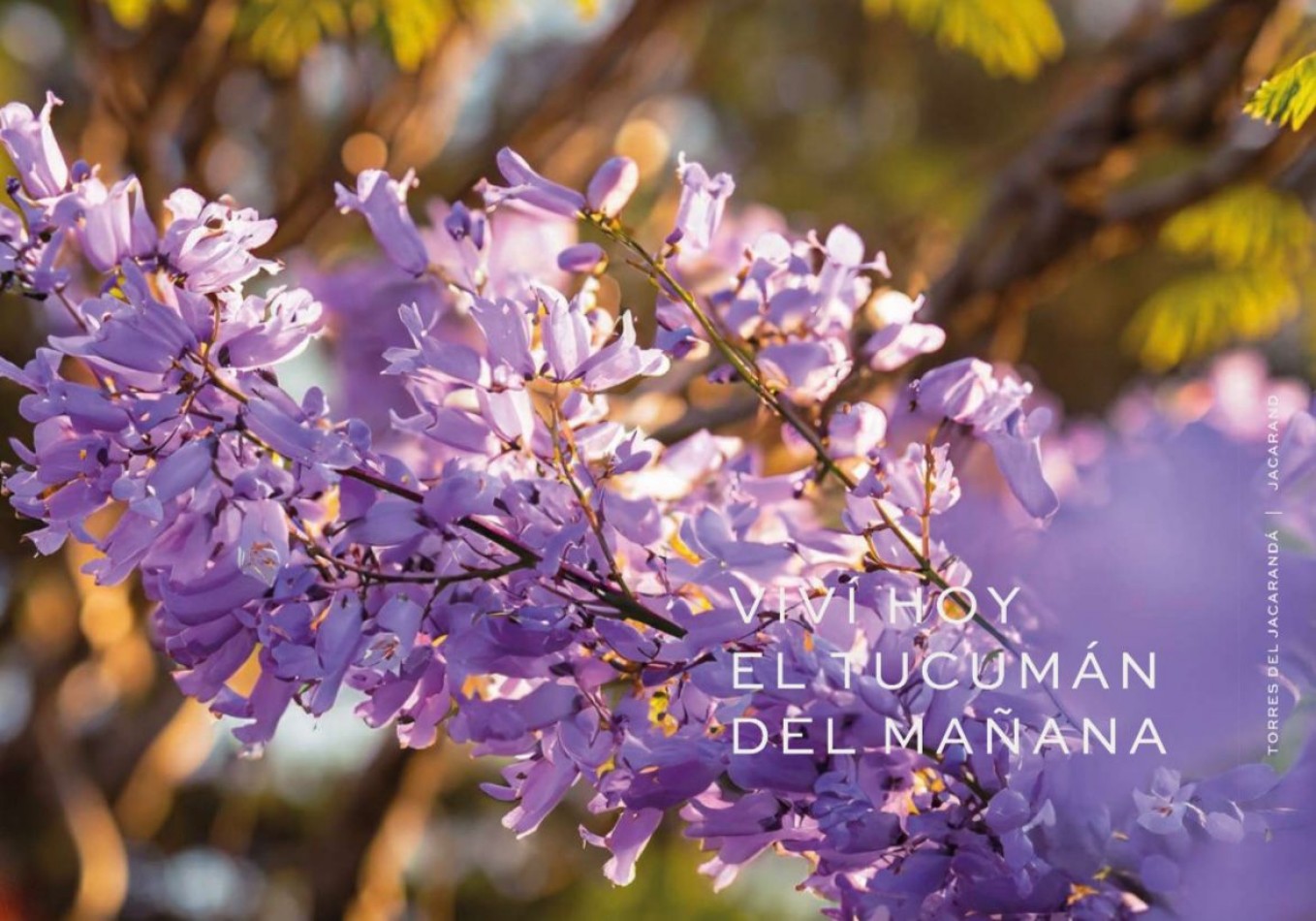 DEPARTAMENTO EN VENTA EN TORRES DEL JACARANDA II