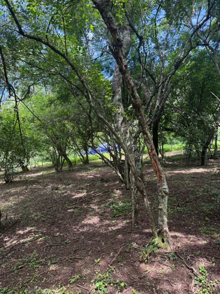 TERRENO EN VENTA EN LAS DELICIAS - RACO