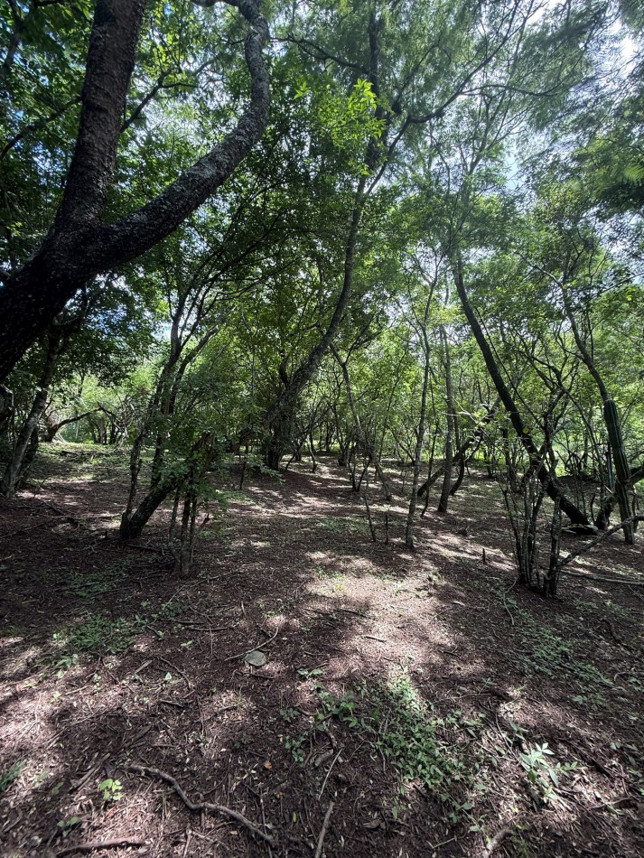 TERRENO EN VENTA EN LAS DELICIAS - RACO