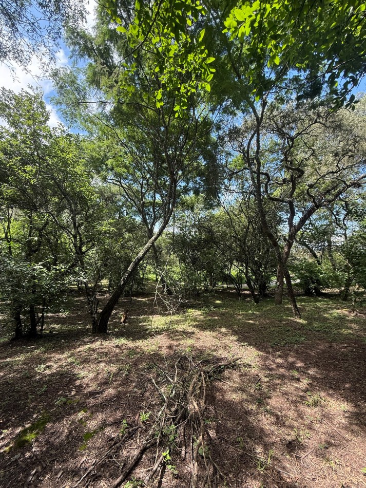 TERRENO EN VENTA EN LAS DELICIAS - RACO