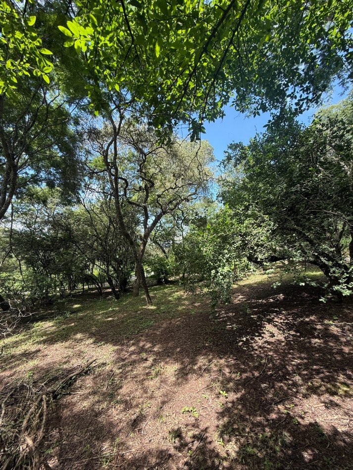 TERRENO EN VENTA EN LAS DELICIAS - RACO