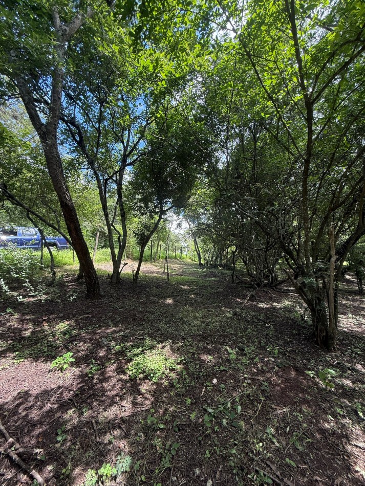 TERRENO EN VENTA EN LAS DELICIAS - RACO