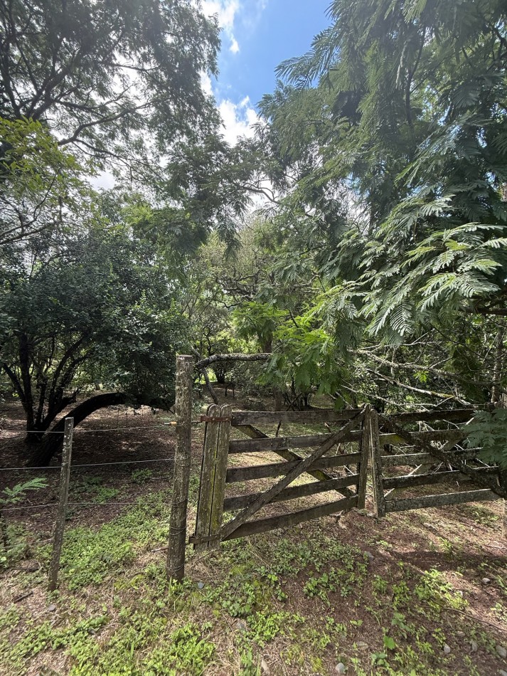 TERRENO EN VENTA EN LAS DELICIAS - RACO