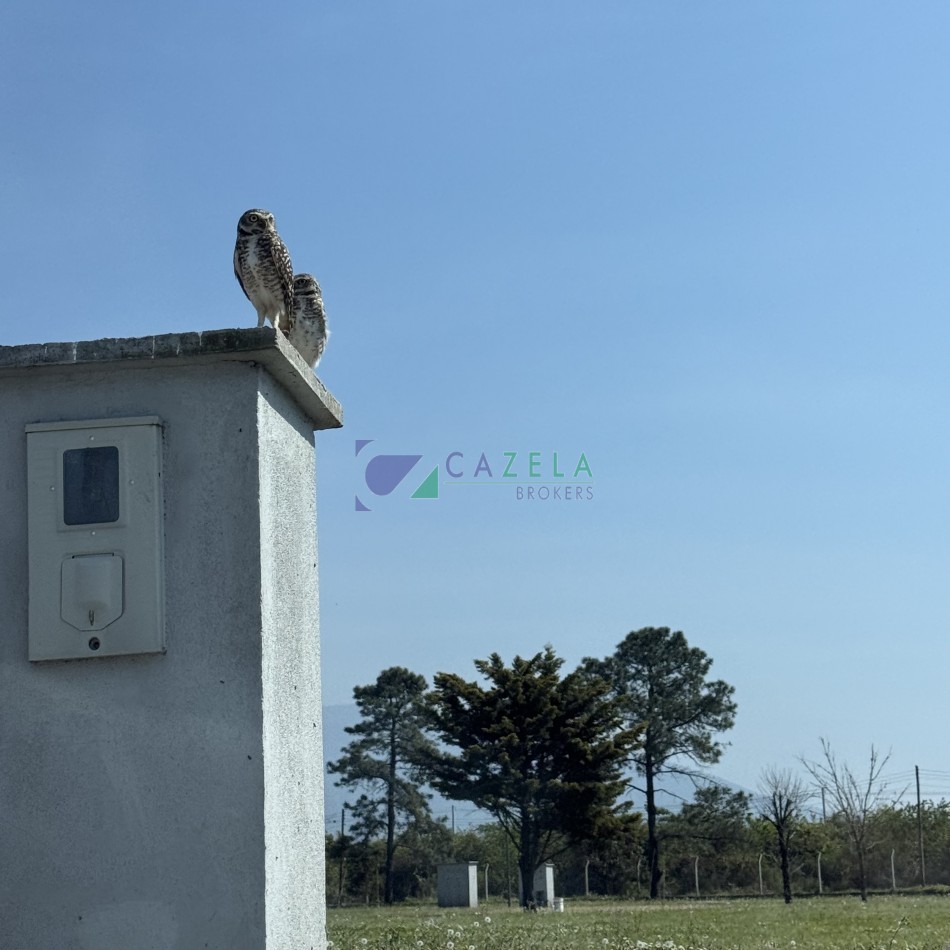 Terrenos en venta Chacras del Tortoral Barrio privado